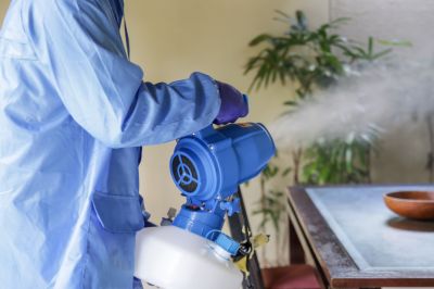 Pest Fumigation Service in Wilmington, NC