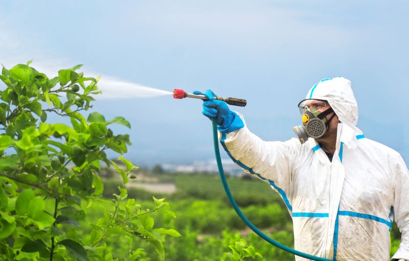 Rat Fumigation Service in Katy, TX