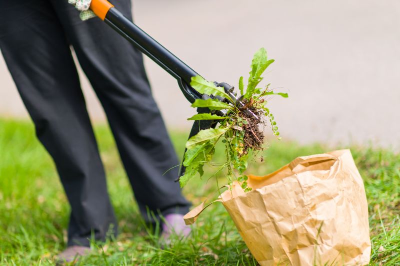 Cost of Mole Exterminating — Cost of Mole Exterminating