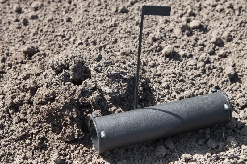 How Moles Destroy Lawns, Roots, And Irrigation Systems