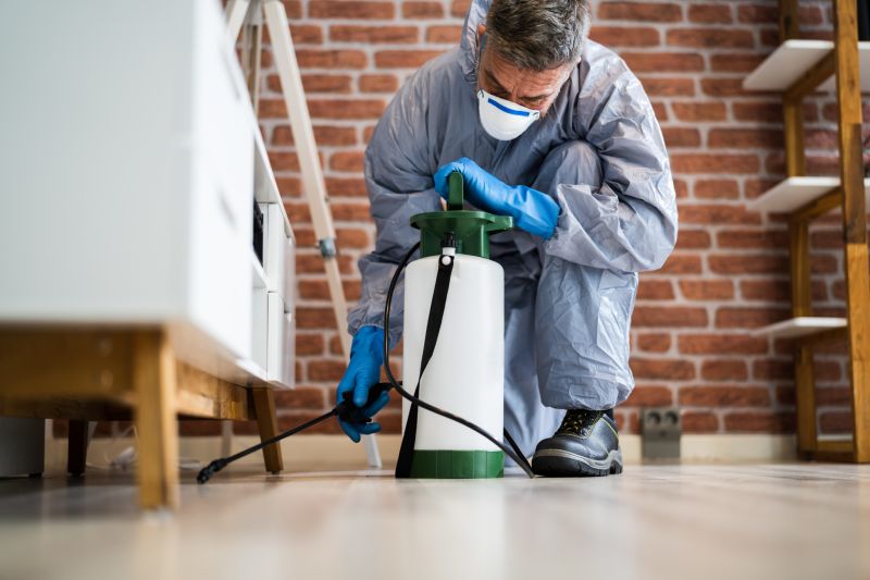 Spider Mite Extermination in Frisco, TX
